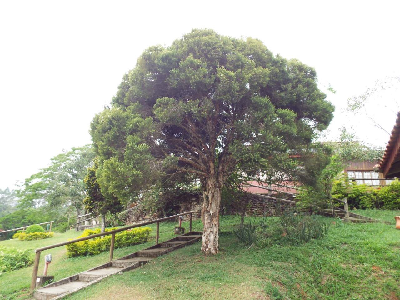 Estrela Da Serra Hotel Fazenda Santo Antônio do Pinhal Exterior foto